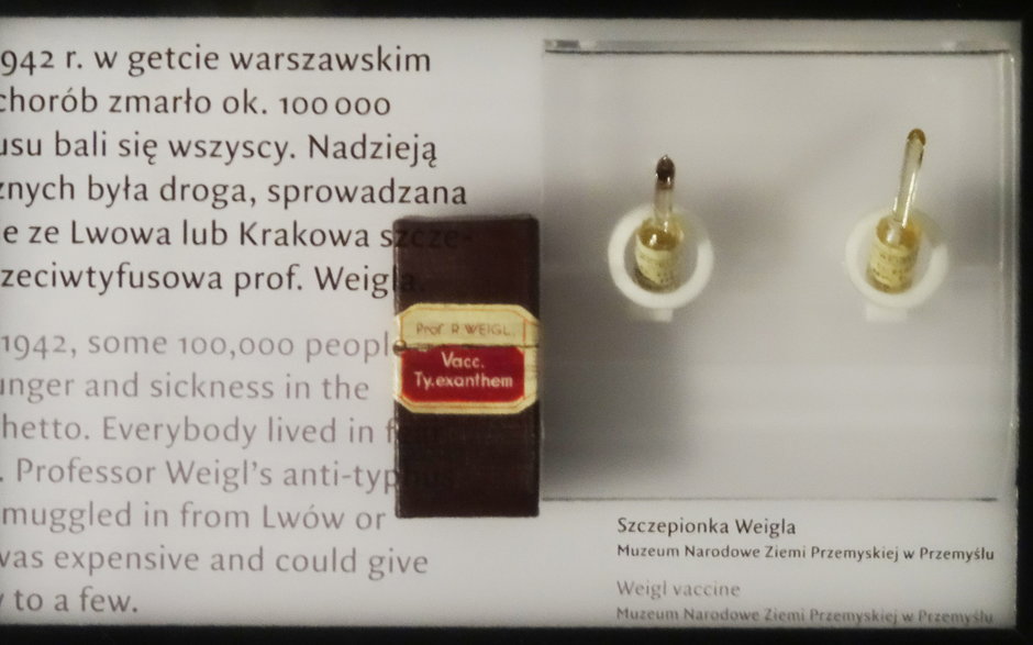 Szczepionka przeciwtyfusowa prof. Rudolfa Weigla w Muzeum Historii Żydów Polskich w Warszawie. Fot. Łukasz Katlewa
