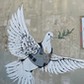 Betlejem. Mural Banksy'ego „Gołąb pokoju w kamizelce kuloodpornej