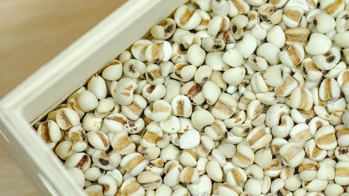 Popularność różnorodnych ziaren i nasion wniosła zdrowy powiew świeżości do kuchni. Wciąż jednak pozostaje wiele składników dopiero trafią do grona tzw. superfoods, przykładem jest łzawica.