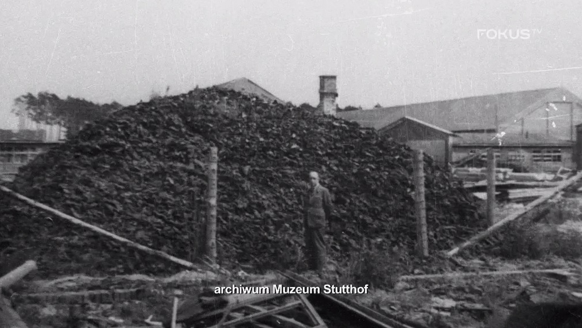 Gdy okazało się, co jest treścią filmu "Berek", ówczesna dyr. Muzeum Stutthof zażądała zniszczenia całego materiału, uznając, że jest on profanacją Miejsca Pamięci; autor filmu żądania nie spełnił – oświadczyło Muzeum Stutthof. Dziś taki film na terenie muzeum nie mógłby powstać - dodano.