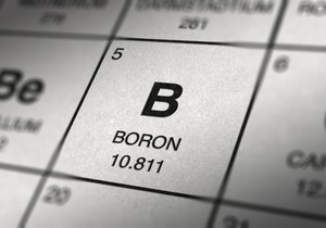 Bor se nalazi u mnogim namirnicama biljnog porekla