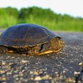 Energetyka nie nadąża za hossą. Są dwa główne powody