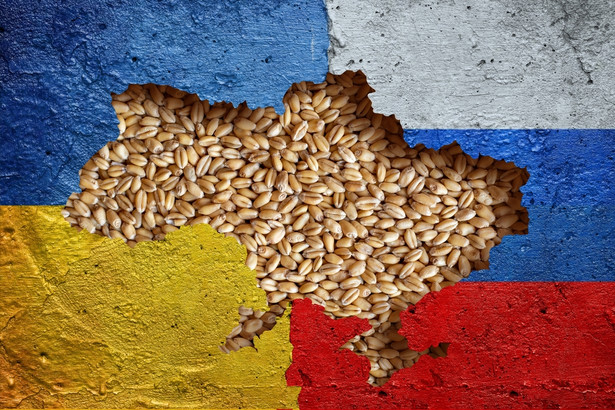 W jaki sposób Rosja zagraża globalnemu bezpieczeństwu żywnościowemu? MSZ Francji odpowiada