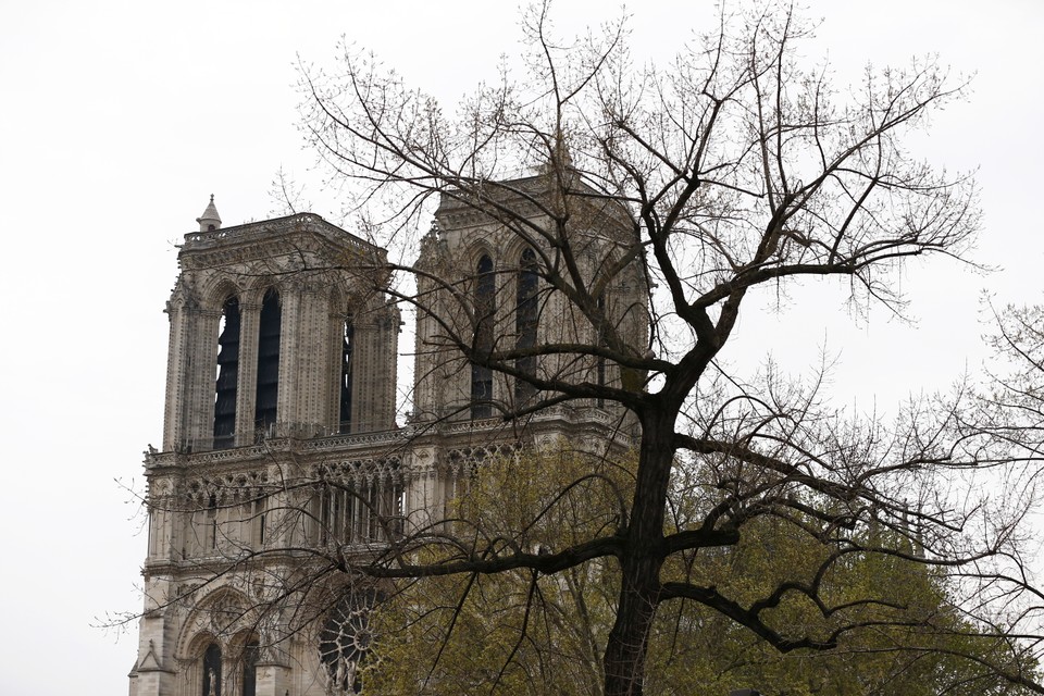 Katedra Notre Dame po pożarze