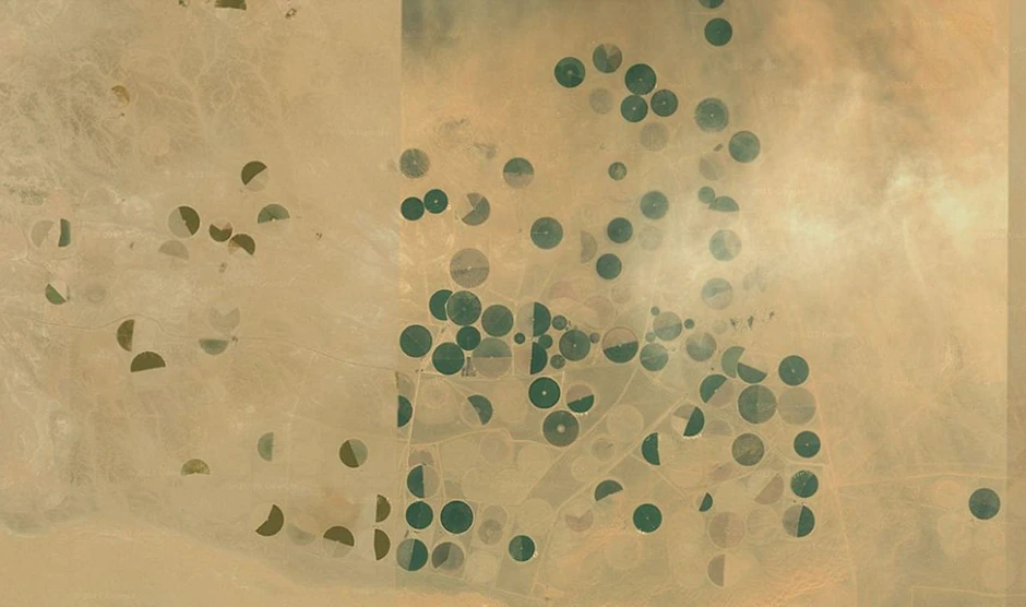 Farmerske zajednice u Saudijskoj Arabiji