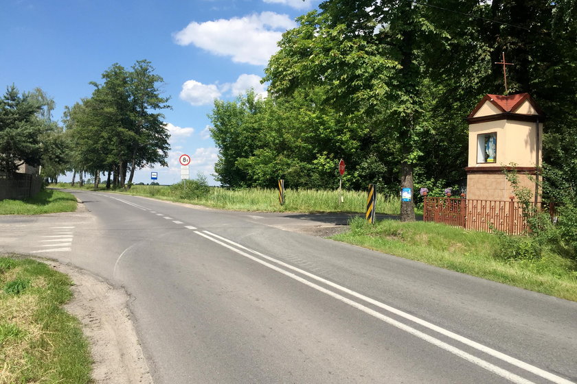Mieszkańcy Jastrzębia Górnego od lat walczą o postawienie lustra drogowego