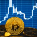 Bitcoin rośnie przez cały rok. Sięgnął ponad 44 tys. dolarów, a co dalej?