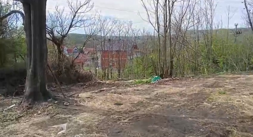 Put koji je prešla Danka Ilić na dan ubistva