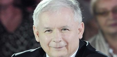 Kaczyński przygarnął kota. Ma problem z imieniem...