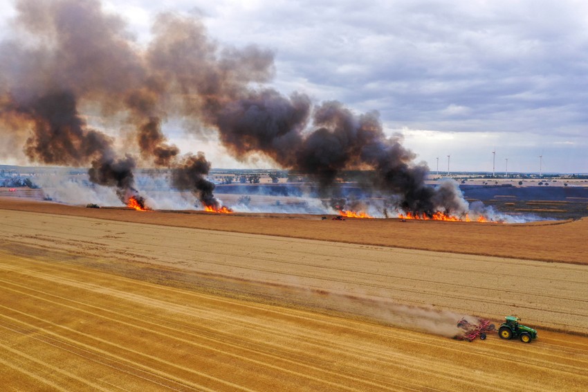 Požar na polju u Licenu na istoku Nemačke 19. jula
