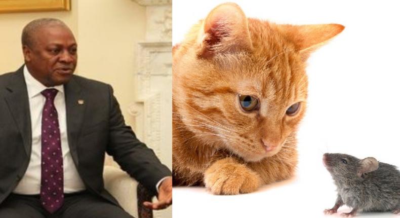 Ex-President Mahama shares video of mouse chasing a cat