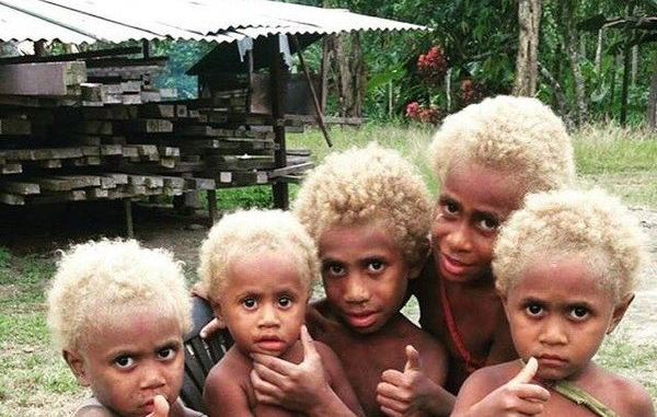 Melanesians Meet The World S Only Natural Black Blondes