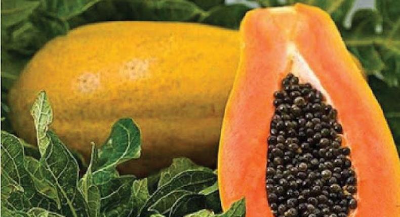 Papaya seeds carry nutrients [Tehelka]