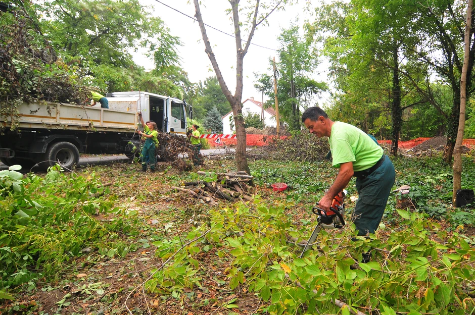 Uređenje zelenih površina