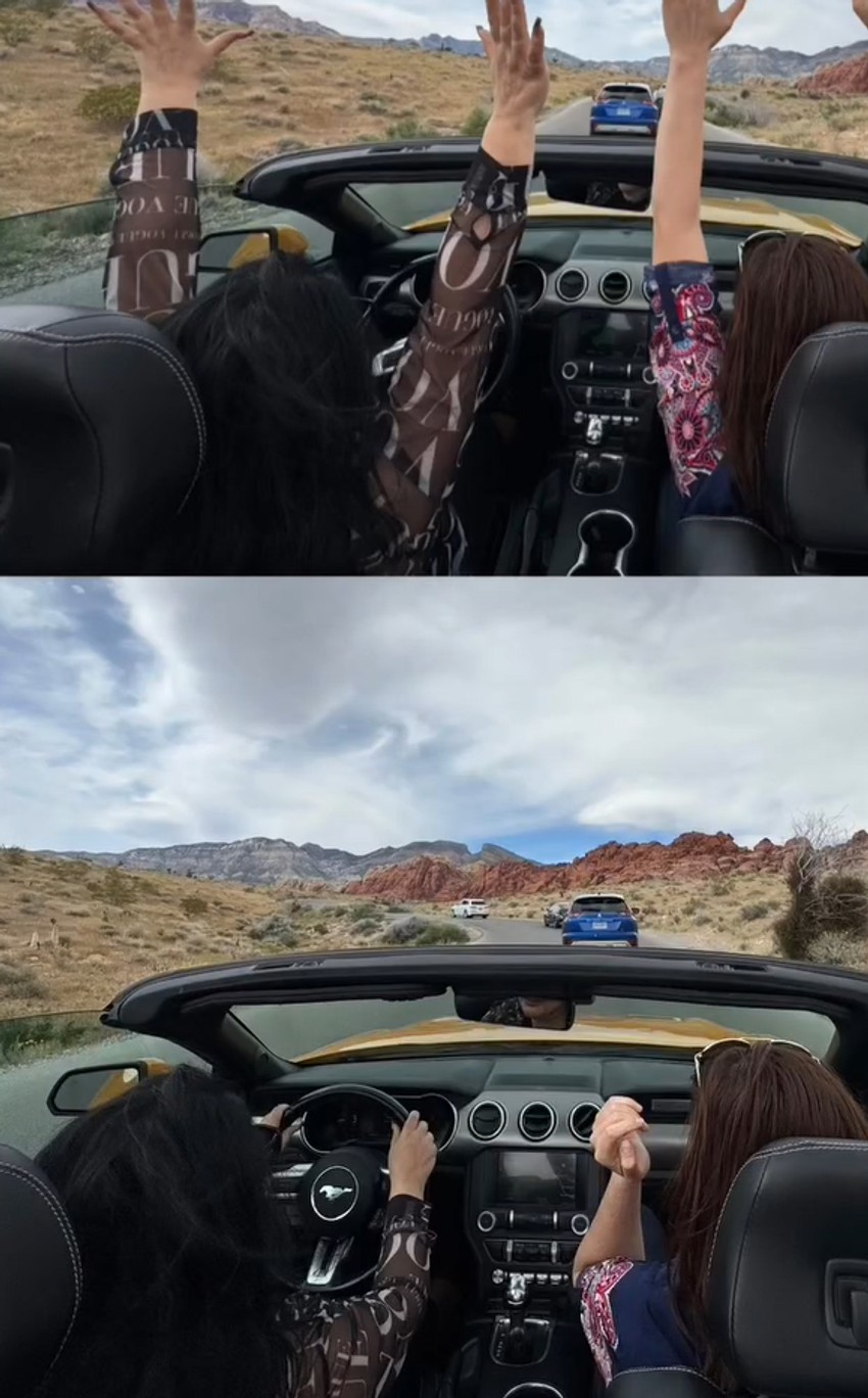 Dragana Mirković, objava