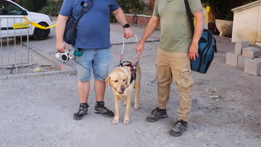 budapest, vakvezető, kutya, látássérült