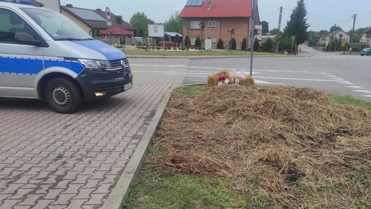 19-latek zakłócił dożynki w Tuczępach. Szukał "mocnych wrażeń"