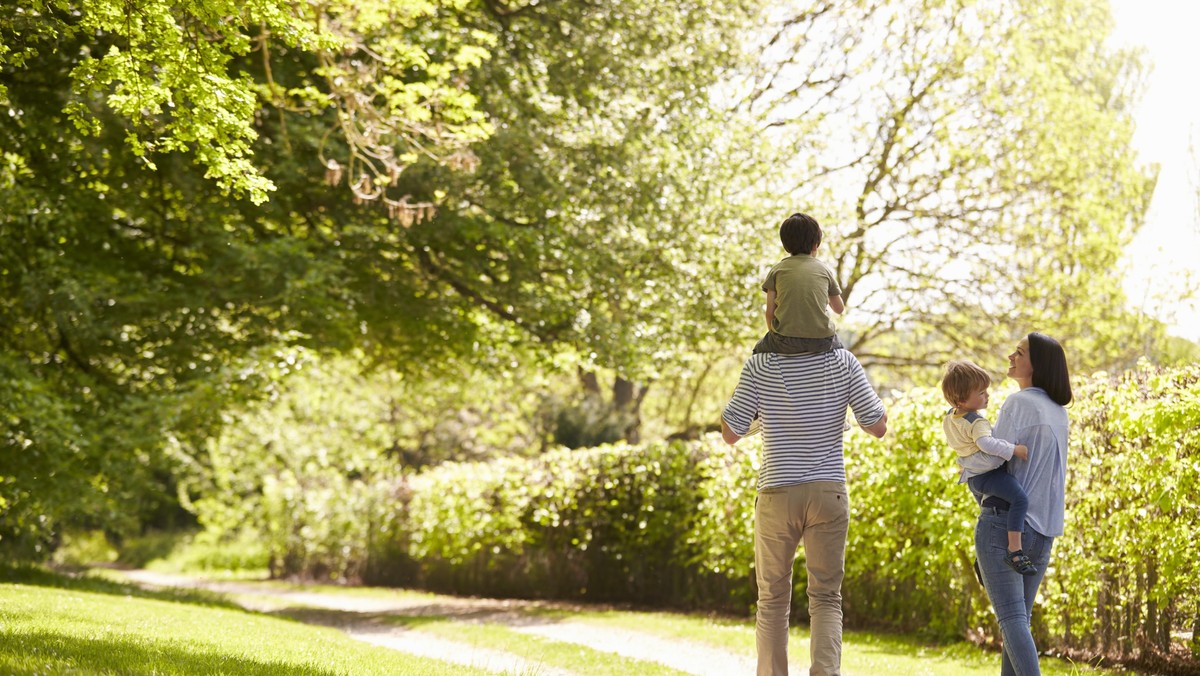 Rear View Of Family Going For Walk In Summer Countryside