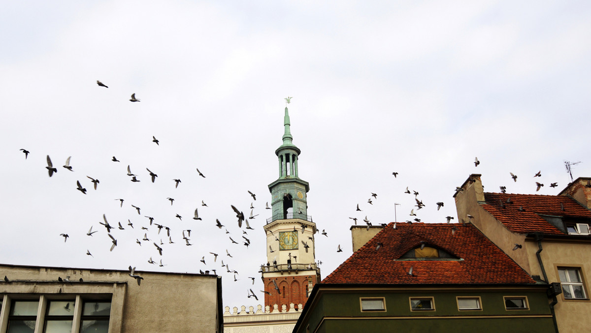 2,5 mln złotych przeznaczy w tym roku w tym roku Miasto Poznań na renowację zabytkowych kamienic. Władze miasta podkreślają, że to najwyższa kwota na dofinansowanie zabytków w przeciągu kilku ostatnich lat.