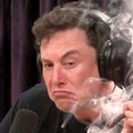 Elon Musk palił trawkę podczas wywiadu. Niedawno przekonywał, że marihuana zabija produktywność