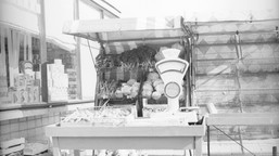 QUIZ. Dla tych, co wychowali się w PRL to bułka z masłem. Będzie 100 proc. normy?