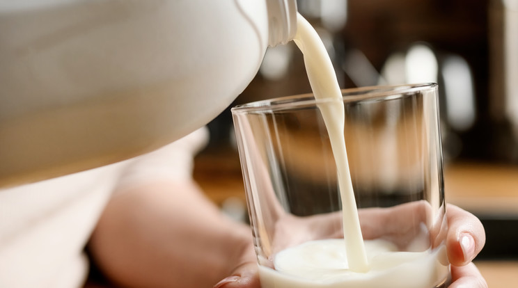 A Nébih laboratóriumi vizsgálatot érintő kivizsgálást indított a Piliscsabán vásárolt maró ízű tej ügyében/ Fotó: Northfoto