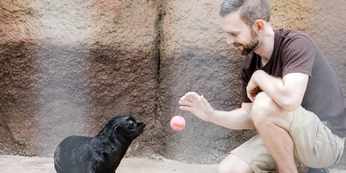 Kotiki urodziły się w zoo