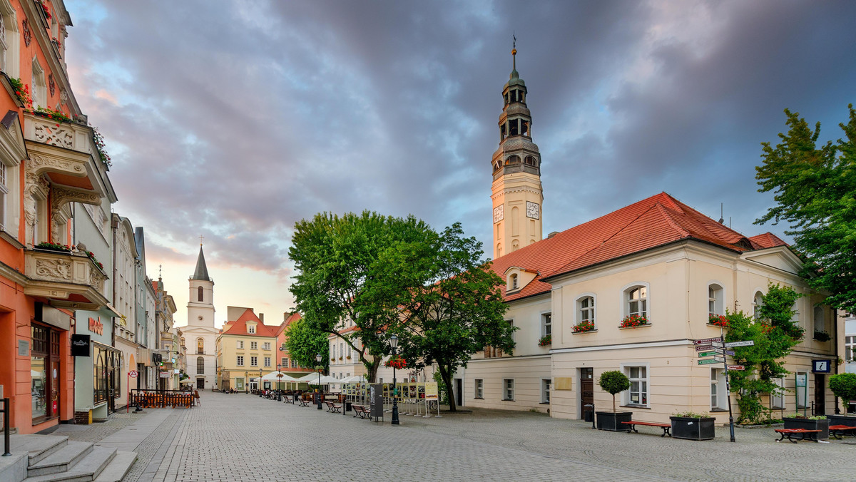 Najstarszy żywy świadek dziejów miasta – tak można o nim śmiało powiedzieć. 800-letni cis stojący przy ul. Kopernika został pomnikiem przyrody w 2006 roku. Gołym okiem widać, że to drzewo iglaste nie ma się najlepiej, jego gałęzie wysychają, a igły nie są już zielone. Co miasto robi, żeby go zabezpieczyć? Sprawdziliśmy.