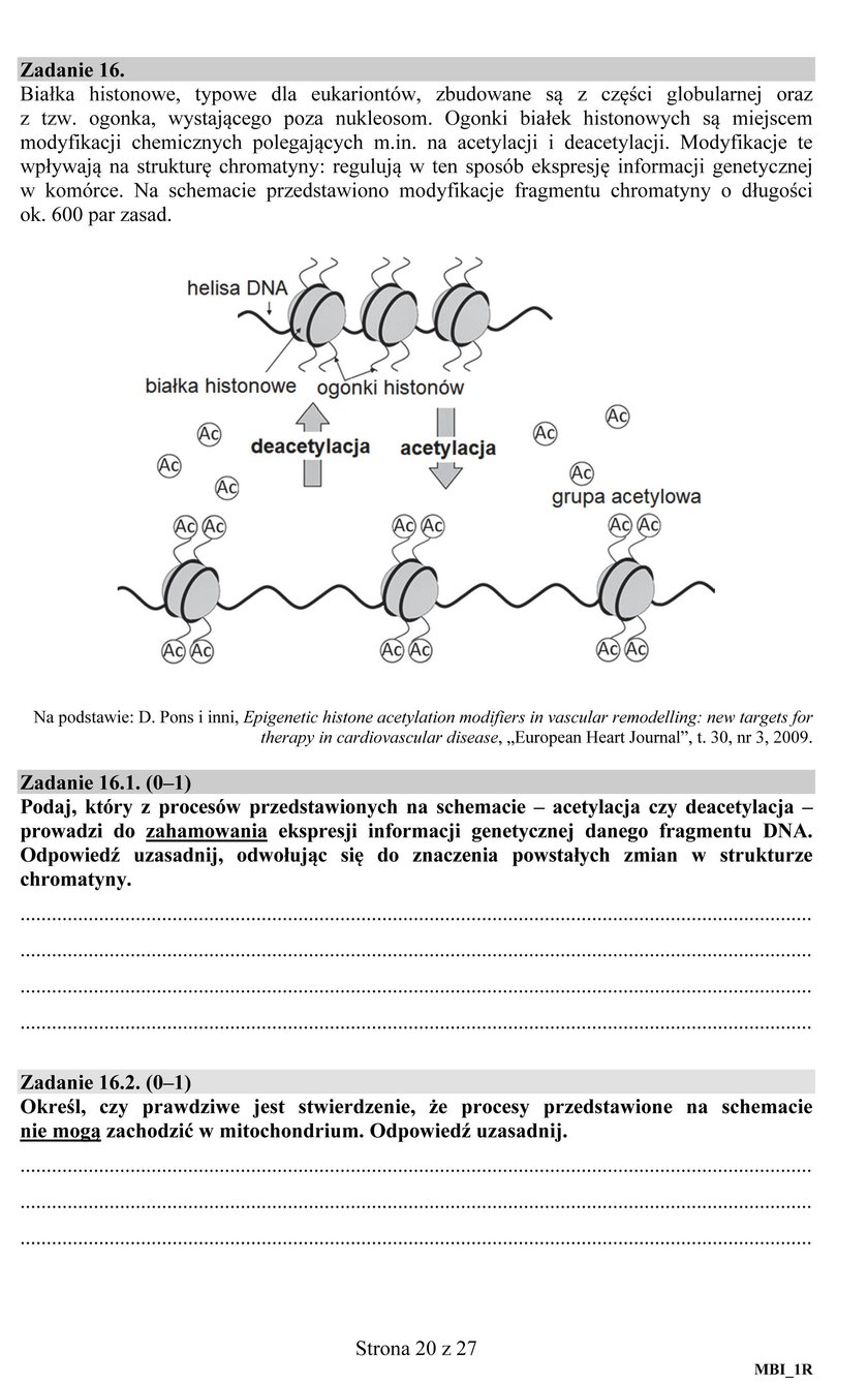 Matura 2018: Biologia. Odpowiedzi i Arkusze CKE. Biologia