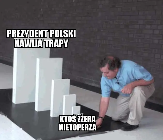 Memy o jedzeniu nietoperza