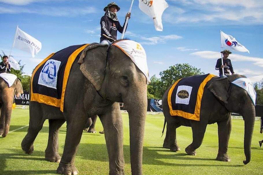 Kings Cup Elephant Polo Tournament