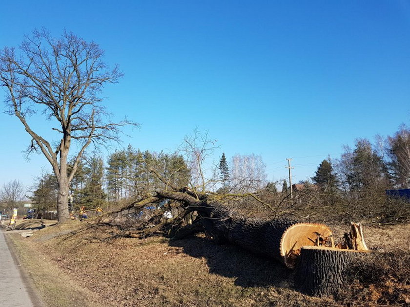 Ruszyła budowa ekspresówki do Grójca