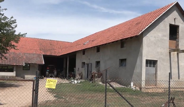 Afrička kuga svinja u selima kod Obrenovca