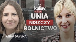 bryłka: ue przeciw rolnikom. merkosur to zdrada wsi [kulisy polityki]