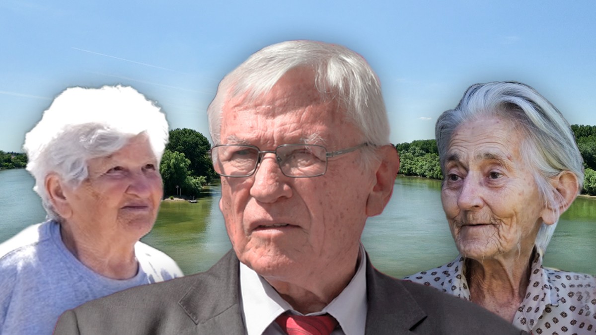 Milanče Radosavljević i komšije