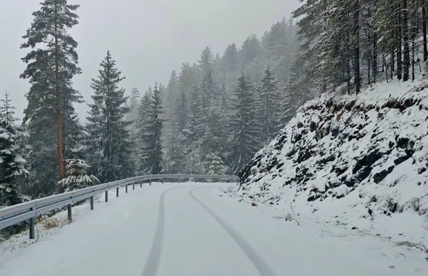 Sneg, planinski centar Iver, Mokra gora