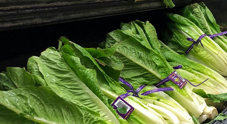 FILE - This Nov. 20, 2018 file photo shows Romaine Lettuce in Simi Valley, Calif.  U.S. health officials are telling people to avoid romaine lettuce grown in Salinas, Calif., Friday, Nov. 22, 2019,  as they investigate a food poisoning outbreak. They also say not to eat the leafy green if the label doesnt say where it was grown.  (AP Photo/Mark J. Terrill, File)