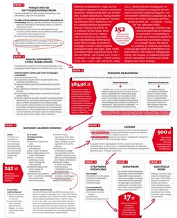 Jak uzyskać pozwolenie i legalnie nabyć broń