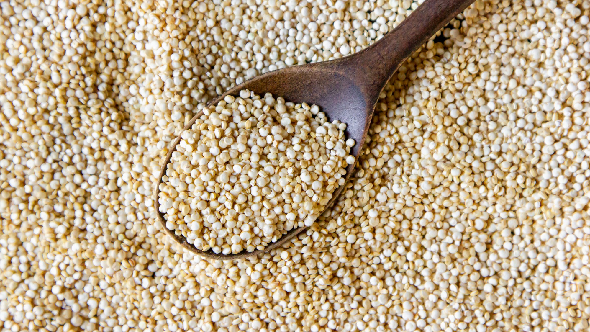 Quinoa, známa aj pod názvom mrlík čílsky.