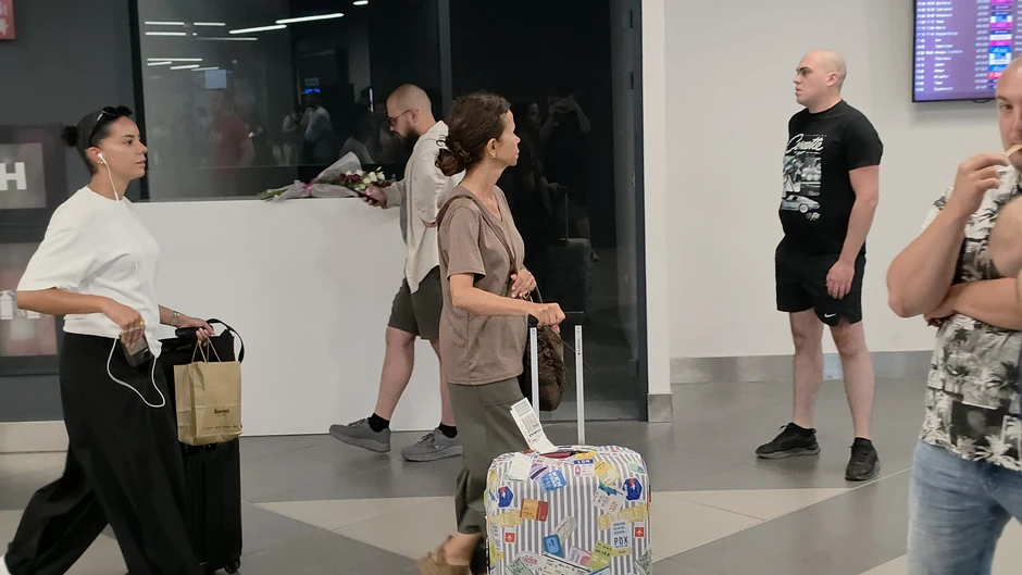 Jelena Bačić Alimpić