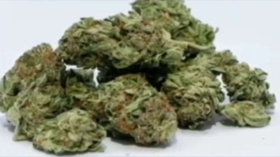 Posledice su višestruke