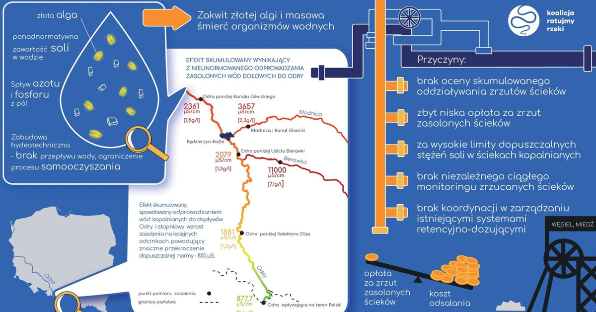 Raport NIK: Do polskich rzek zrzucają wody bardziej słone niż Bałtyk!