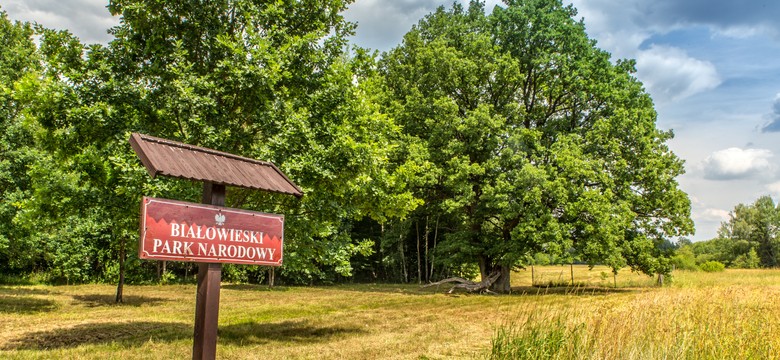 Podlasie w kryzysie. Przedsiębiorcy z Białowieży walczą o przetrwanie