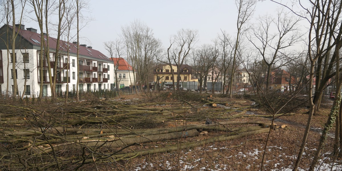 Smutny krajobraz w Milanówku. 