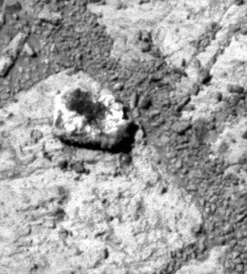 Misteriozni kamen (gore) je u stvari organizam poput apotecije (dole), tvrdi naučnik Raun Džozef