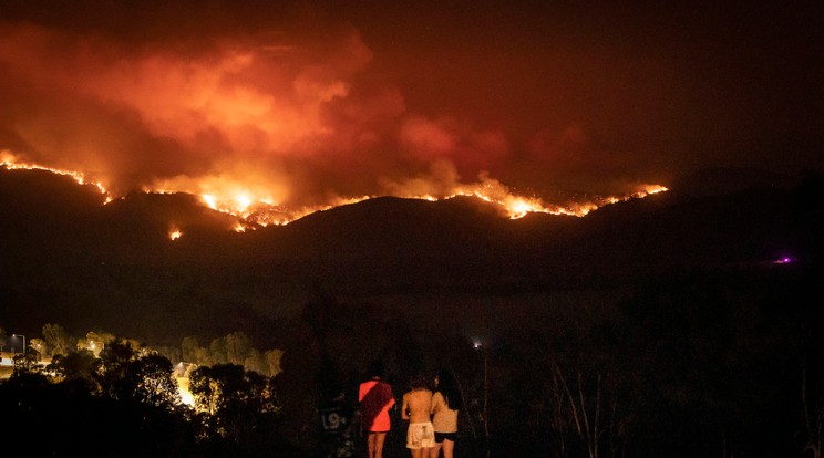 Canberra mellett. Lawrence and Clair Cowie próbálják menteni otthonukat, állataikat, értékeiket a tűz elől. / Fotó: Getty Images