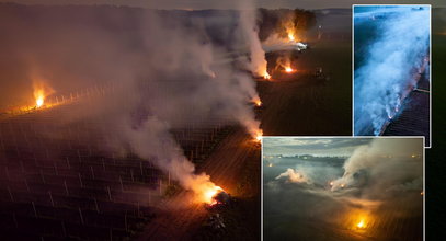 Plantatorzy załamują ręce. Nocne mrozy niszczą plony. Pomóc ma ogień. "Najcięższa walka"