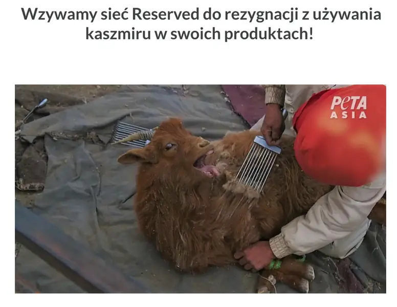 PETA zbiera podpisy pod petycją 