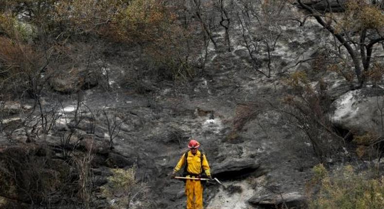 Scene of California wildfire disaster.