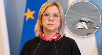 "Odra to najlepiej przebadana rzeka w Europie". Tak ministerstwo klimatu uspokaja Polaków